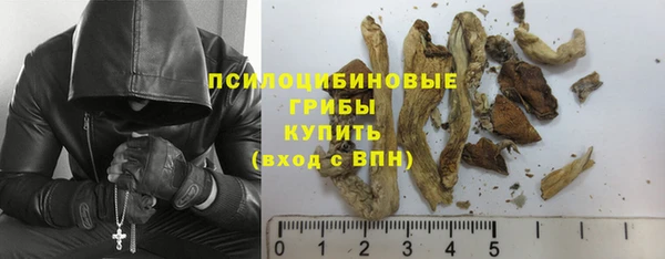 прущие крисы Нефтегорск
