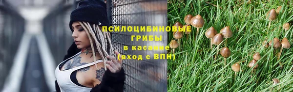 таблы Нея