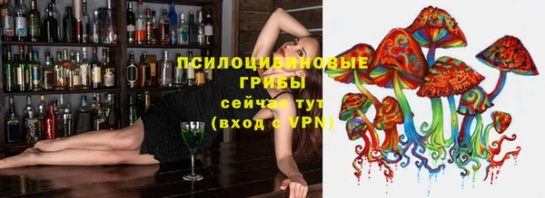 mix Новозыбков