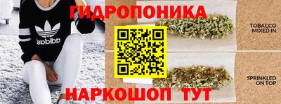 мдпв Жуковский