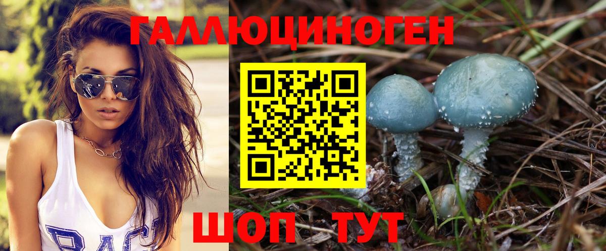 Псилоцибиновые грибы прущие грибы Кириши